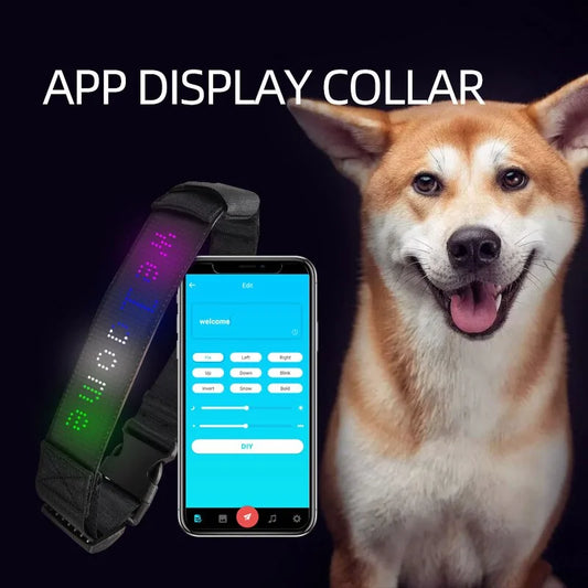 Smart Glow Pet Collar