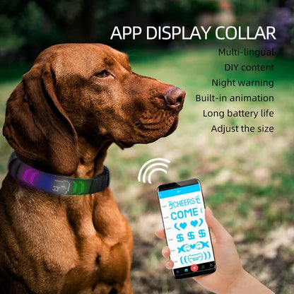 Smart Glow Pet Collar