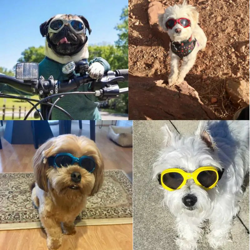 Shady Pooch Foldable Dog Sunglasses with UV Sun Protection