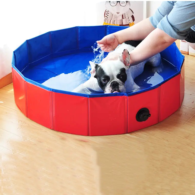 Splash 'n Fold Pup Pool