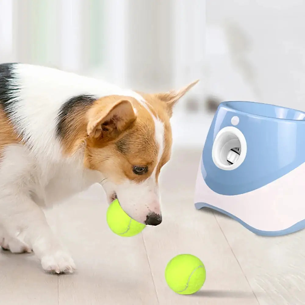 Pet Tennis Ball Launcher Automatic Thrower Toy for Dogs