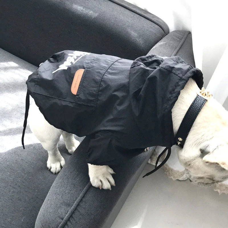 Cozy Canine Windbreaker Sport Jacket