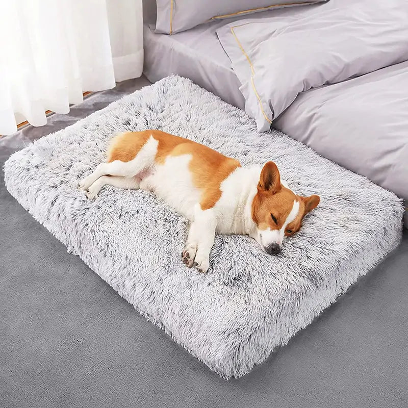 Cosy Pet Dog Chiropractic Bed