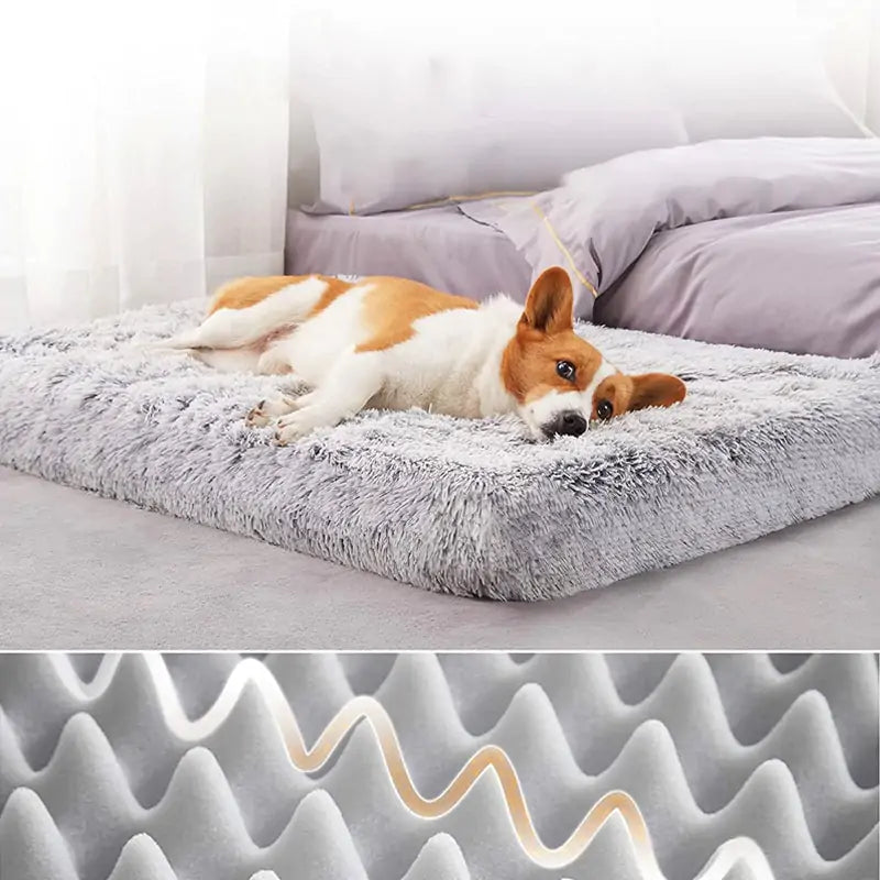 Cosy Pet Dog Chiropractic Bed