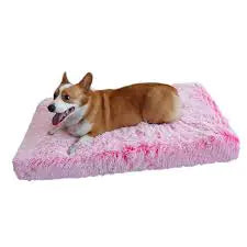 Canine Chiropractic Bed