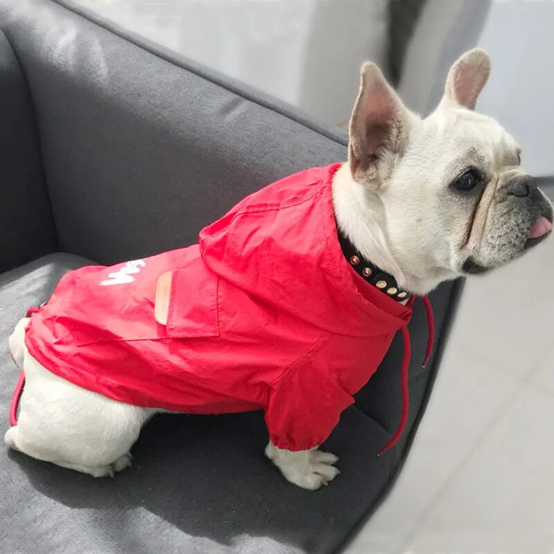 Cozy Canine Windbreaker Sport Jacket