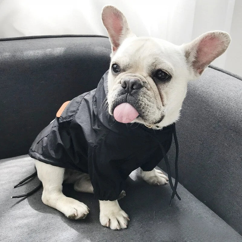 Cozy Canine Windbreaker Sport Jacket