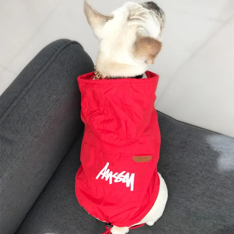 Cozy Canine Windbreaker Sport Jacket