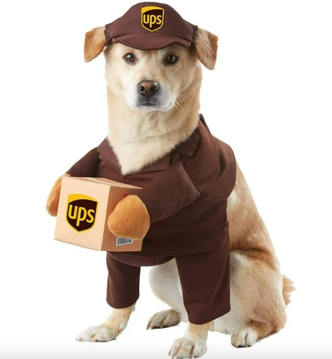 Halloween Fancy Dress Deliver Dog Costume with Package and Hat