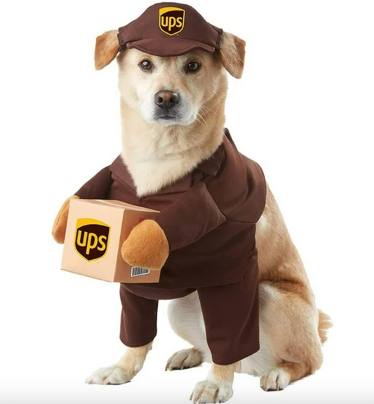 Halloween Fancy Dress Deliver Dog Costume with Package and Hat