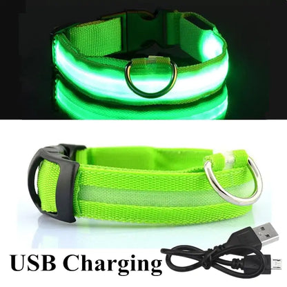 Glow in the Dark Pet Light Up LED Dog Collar