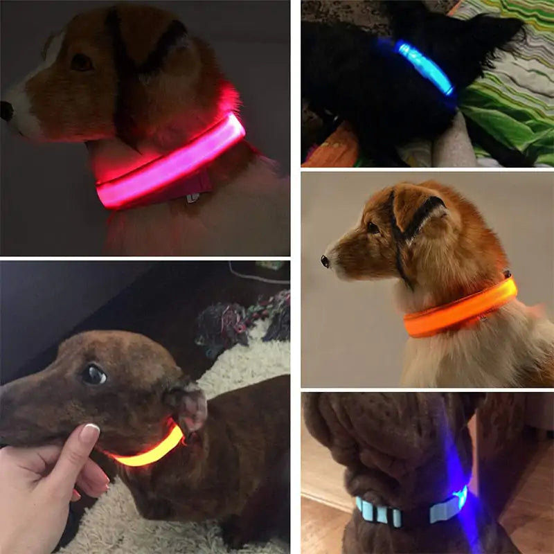 Glow in the Dark Pet Light Up LED Dog Collar