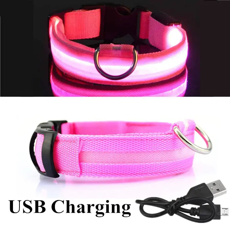 Glow in the Dark Pet Light Up LED Dog Collar