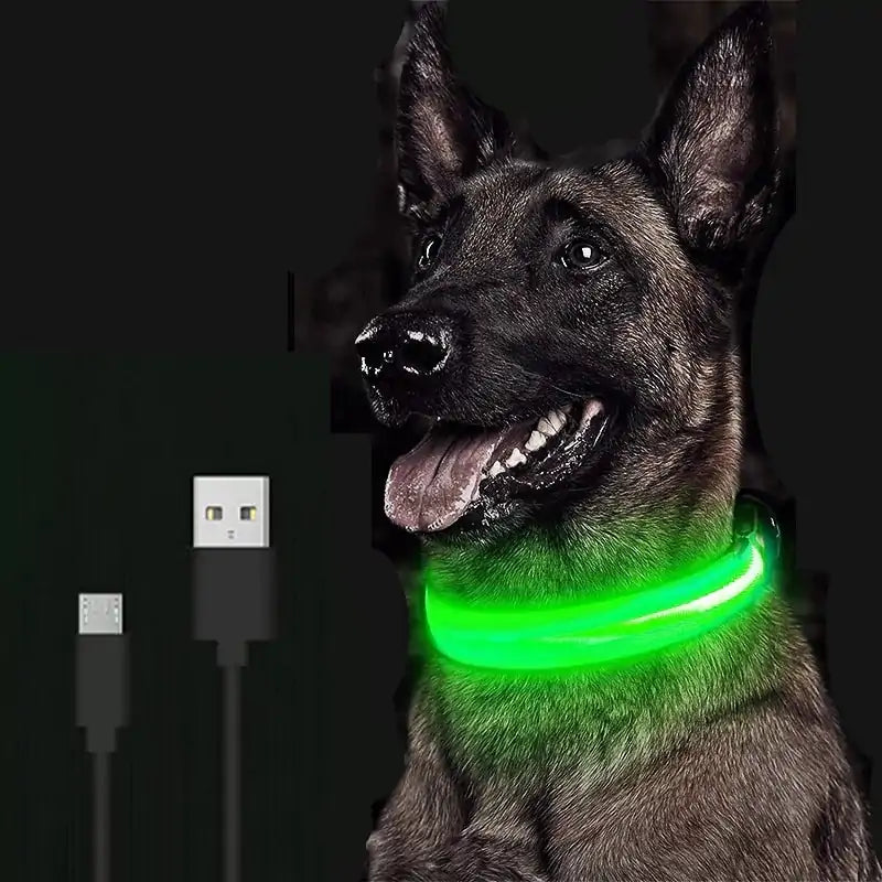 Glow in the Dark Pet Light Up LED Dog Collar