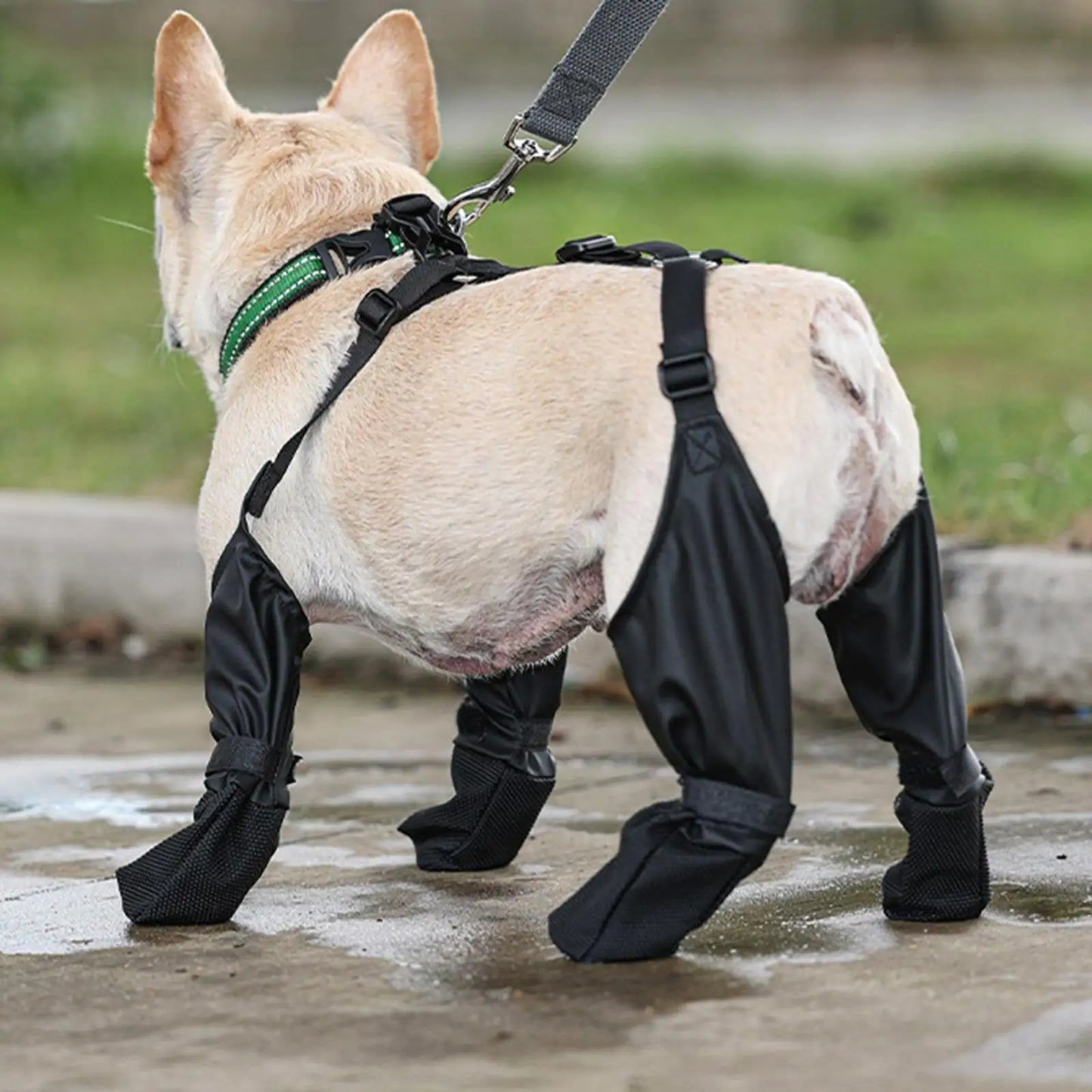 Dog Gaiters Waterproof Suspender Boot Pet Shoes