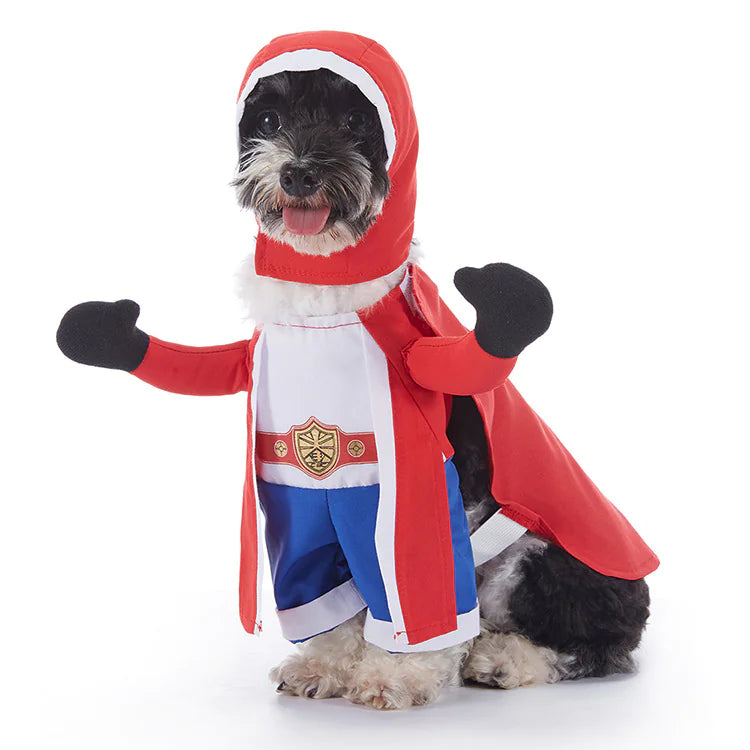 Cute Halloween Pet Costume