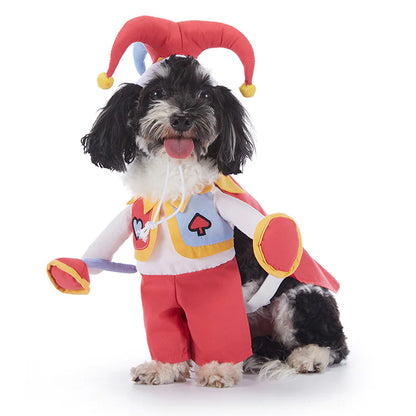 Cute Halloween Pet Costume