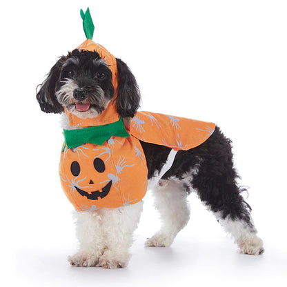 Cute Halloween Pet Costume