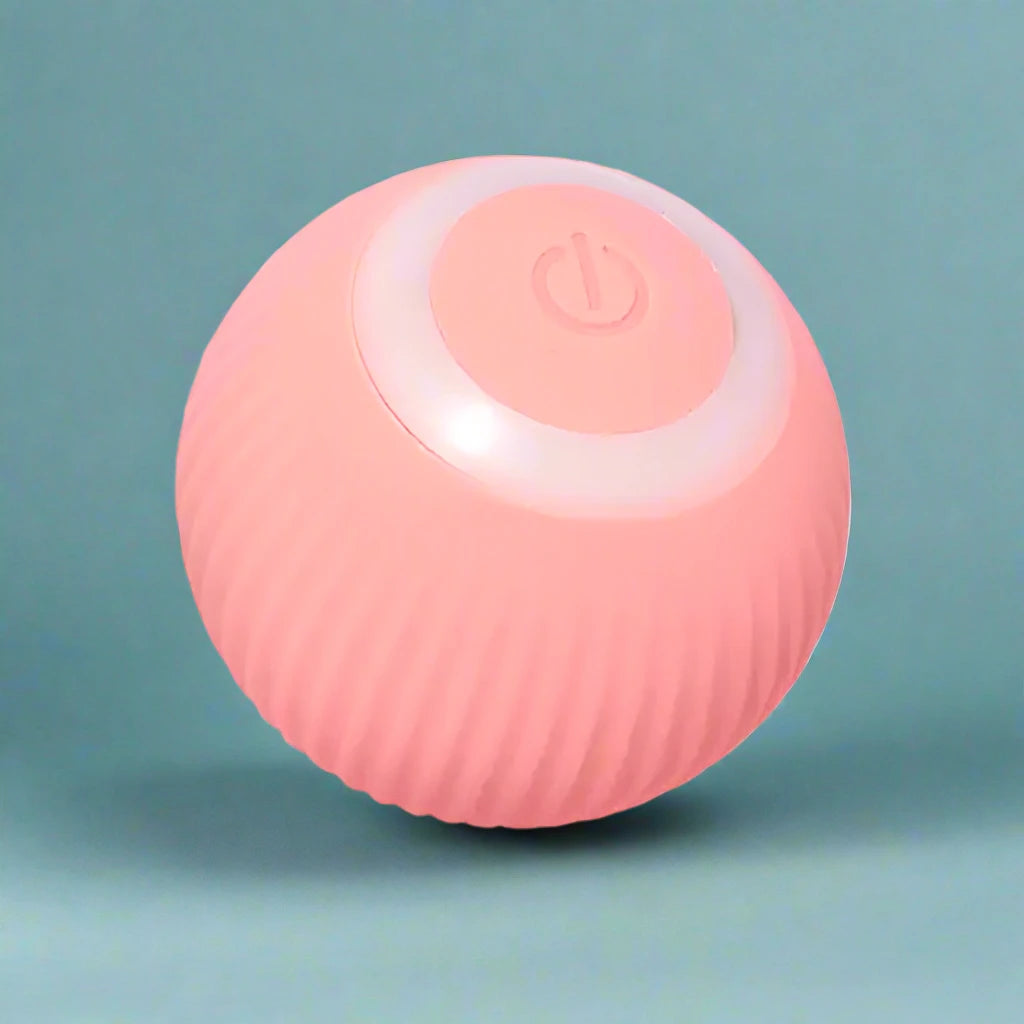 Smart Roll Interactive Ball