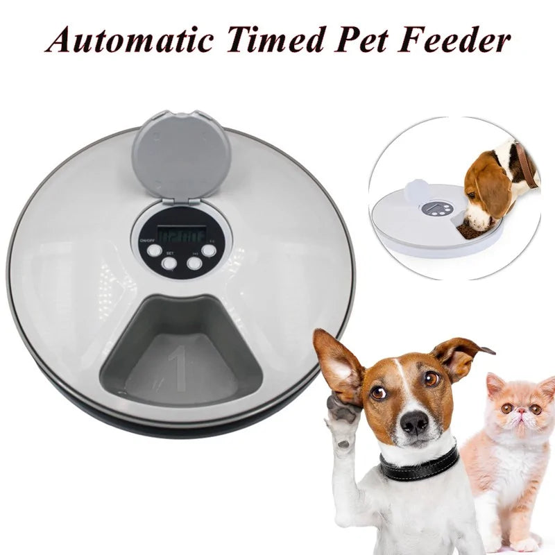 The Punctual Pet Butler - Automatic Feeder