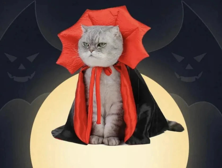 Halloween Dracula Vampire Cape for Pet Cats and Dogs