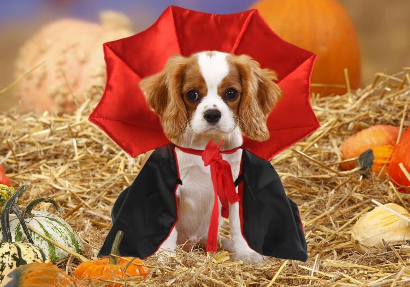 Halloween Dracula Vampire Cape for Pet Cats and Dogs