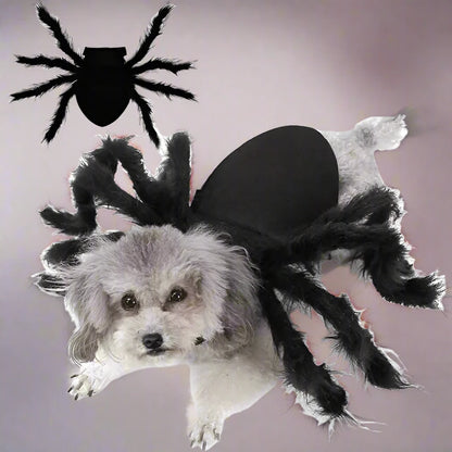 Halloween Spider Costume for Pet Cats and Dogs