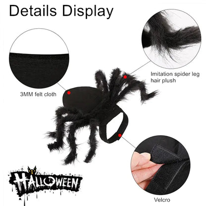 Halloween Spider Costume for Pet Cats and Dogs