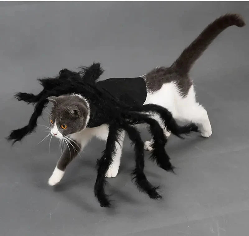 Halloween Spider Costume for Pet Cats and Dogs