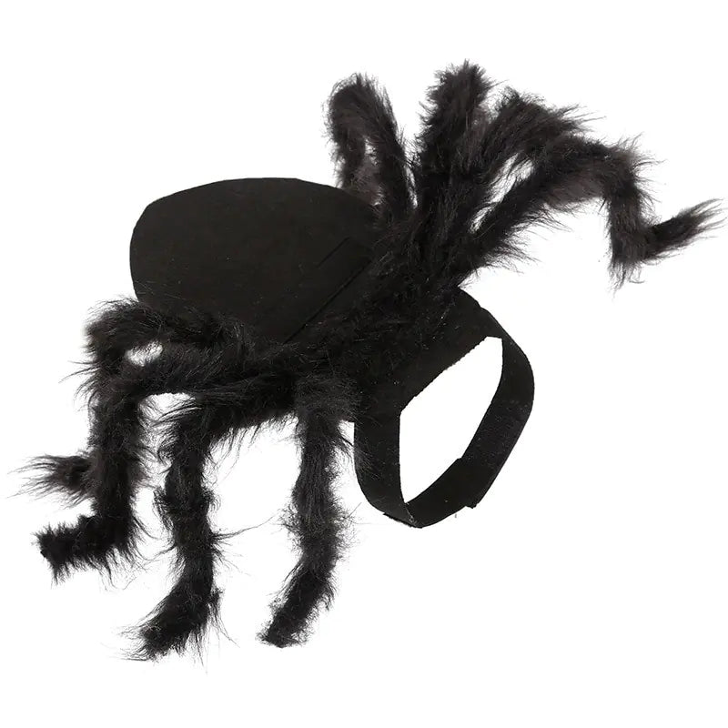 Halloween Spider Costume for Pet Cats and Dogs