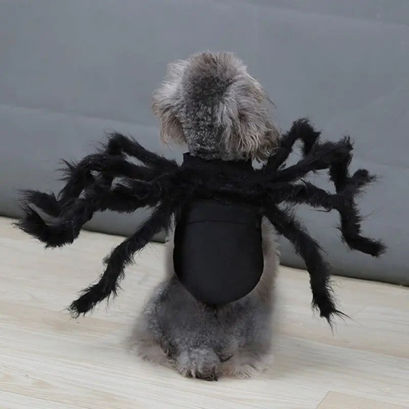 Halloween Spider Costume for Pet Cats and Dogs