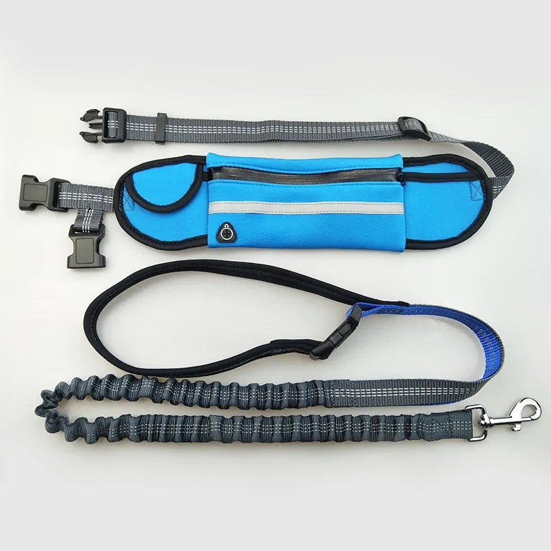 High Visibility Reflective Hand Free Bungee Pet Jogging Leash with Bag