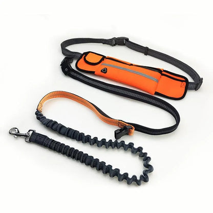 High Visibility Reflective Hand Free Bungee Pet Jogging Leash with Bag