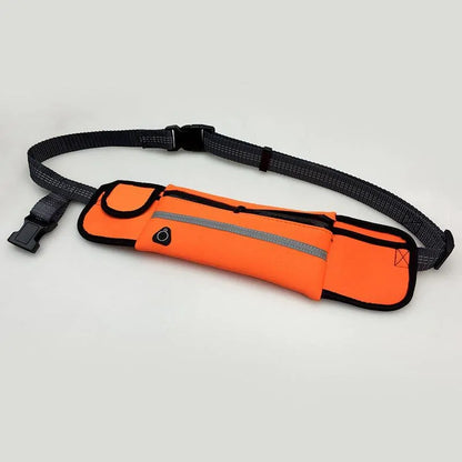 High Visibility Reflective Hand Free Bungee Pet Jogging Leash with Bag