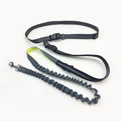 High Visibility Reflective Hand Free Bungee Pet Jogging Leash with Bag