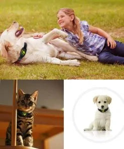 Waterproof Pet GPS Tracker Collar