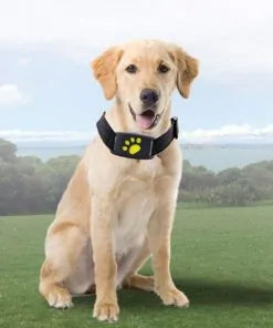 Waterproof Pet GPS Tracker Collar