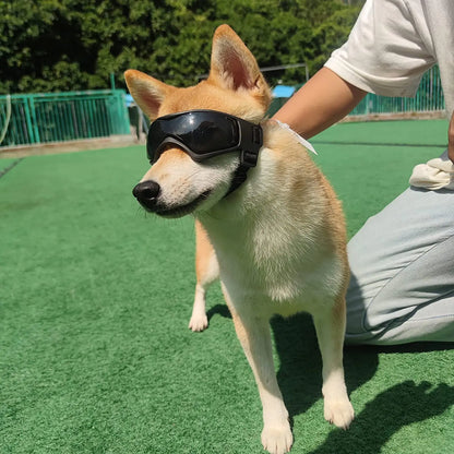 Sunny Paws UV Shades