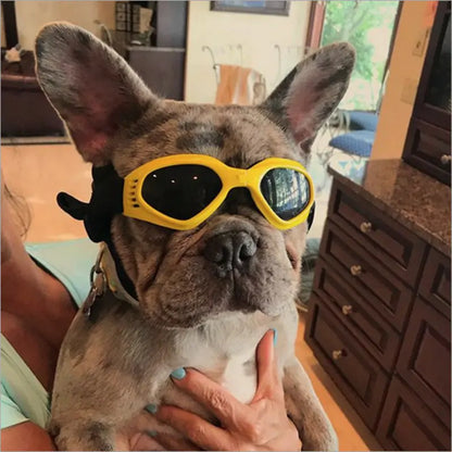 Shady Pooch Foldable Dog Sunglasses with UV Sun Protection