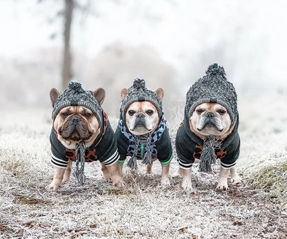 Knitted Pooch Toque Warm Pet Beanie Hat for Dogs