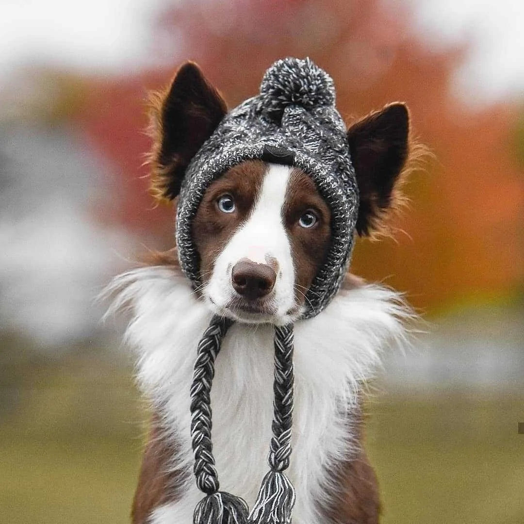 Knitted Pooch Toque Warm Pet Beanie Hat for Dogs