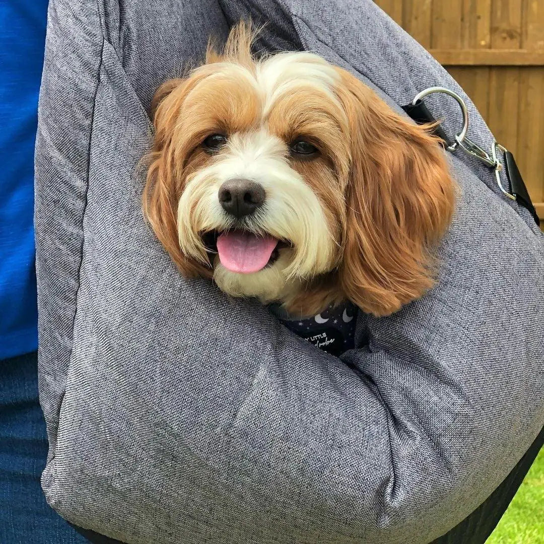 Pet Travel Car Carrier Bag Bed for Dogs