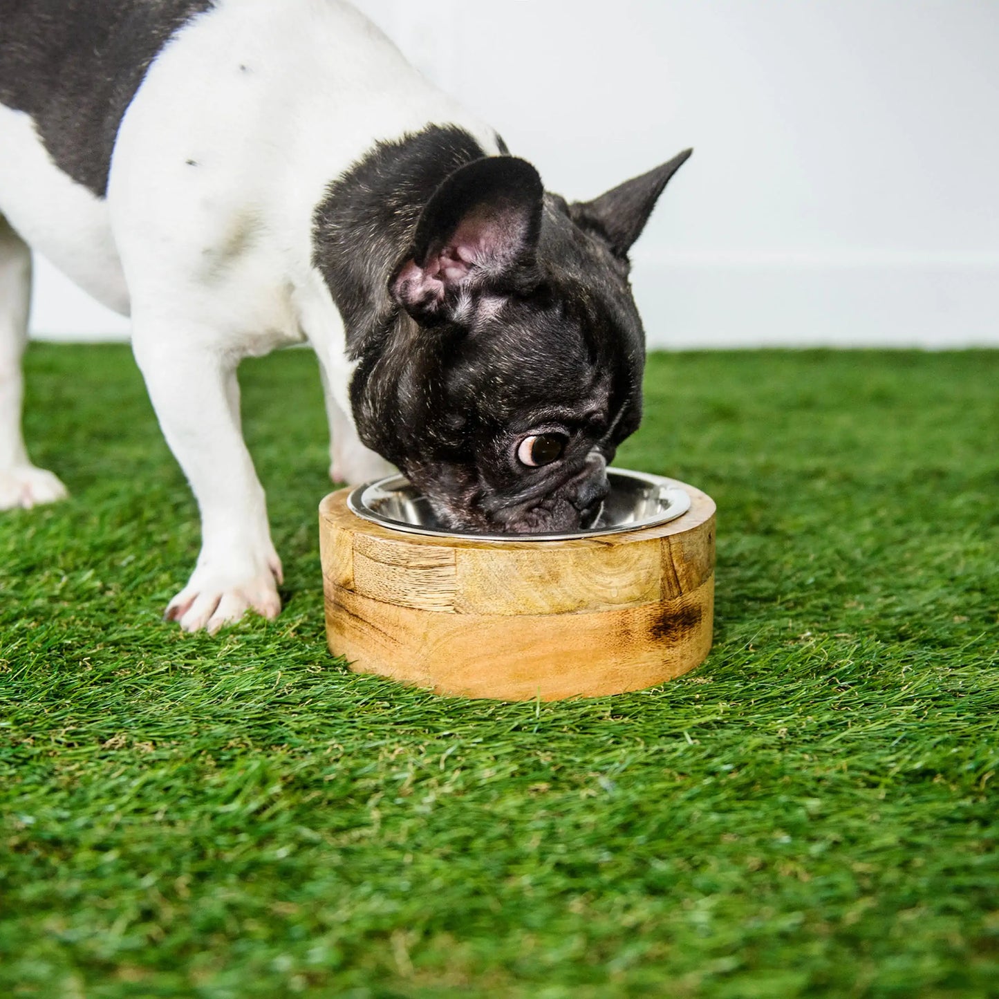 Stylish Wooden Pet Food and Water Bowls