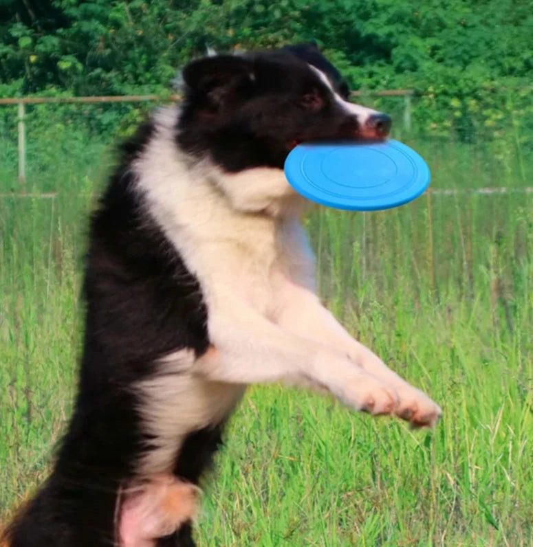 Woof Disc Frisbee