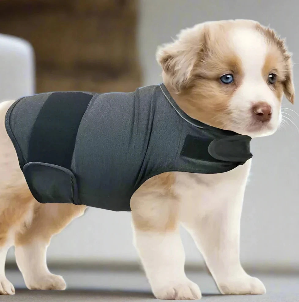 Pet Soothing Calming Anxiety Wrap Dog Jacket