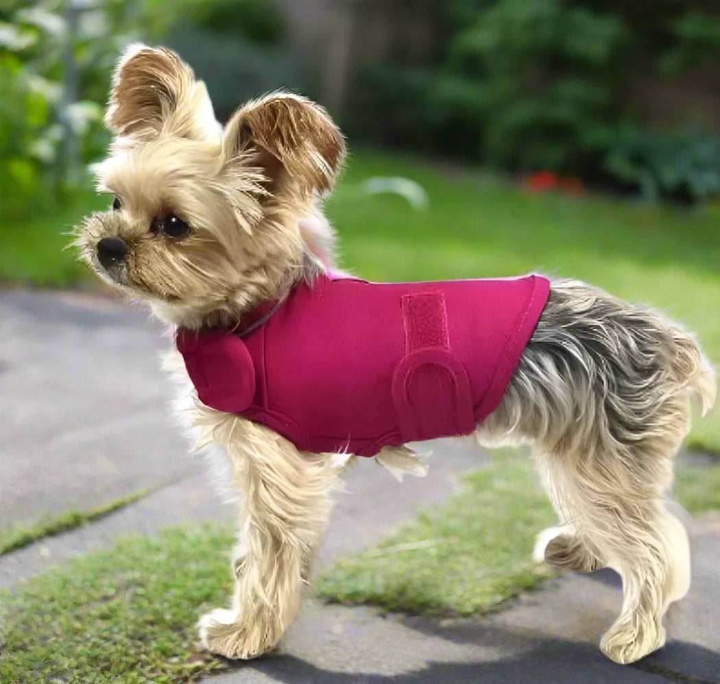 Pet Soothing Calming Anxiety Wrap Dog Jacket