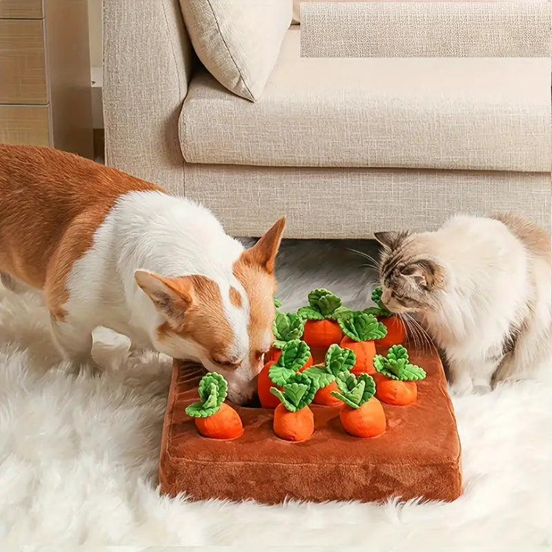 Pet Enrichment Toy Hidden Treat Maze for Dogs