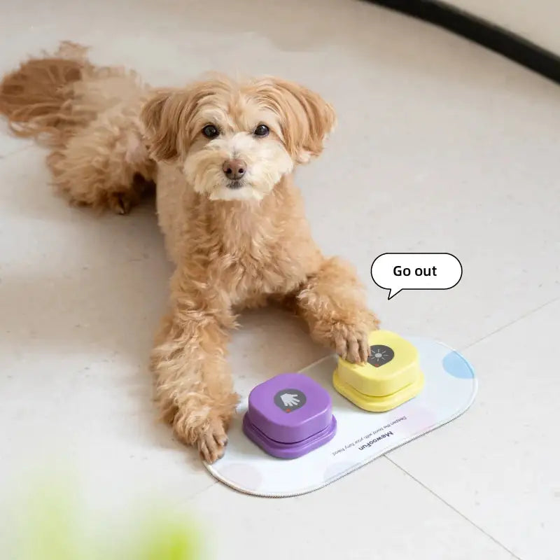 Chatty Canine Pet Speech Communication Button Toy