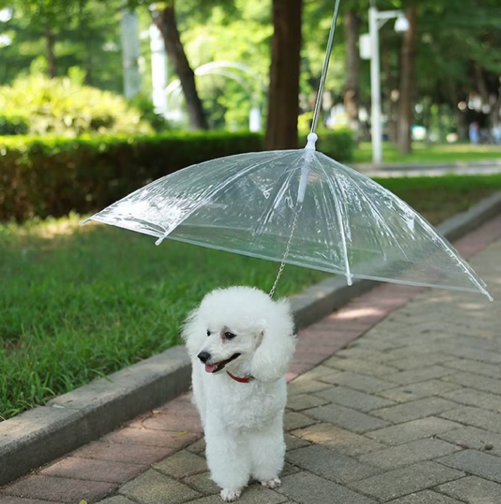 Puddle Paws Pet Leash Rain Umbrella