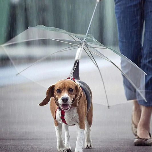 Puddle Paws Pet Leash Rain Umbrella